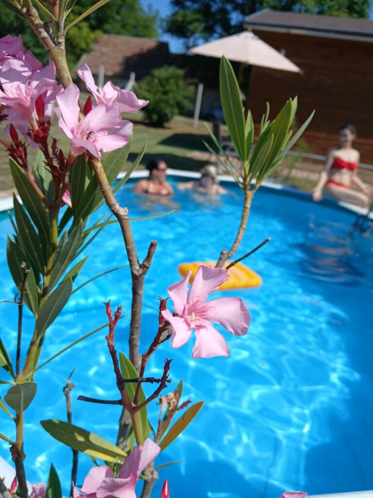 fb img 1754724189988